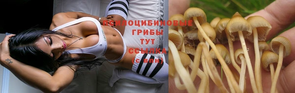 каннабис Балахна