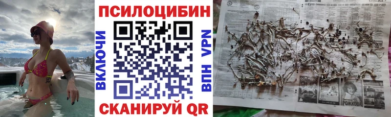 Псилоцибиновые грибы MAGIC MUSHROOMS  купить   блэк спрут   Чухлома 